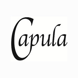 Capula Investment Management logo
