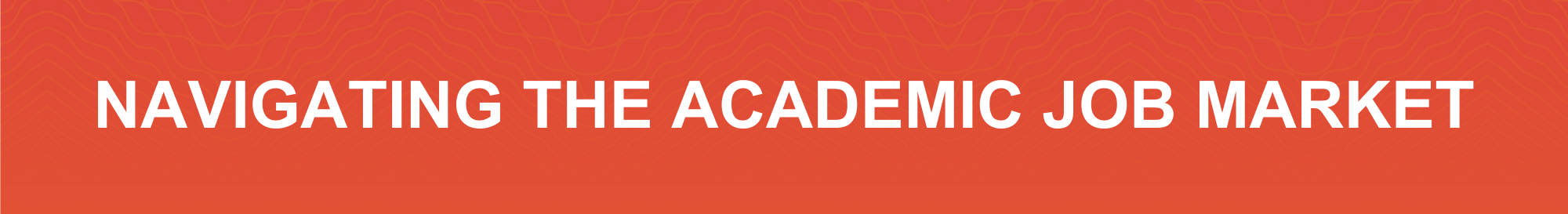 Navigating the Academic Job Market 