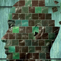 Using your degree: Psychological and Behavioural Sciences
