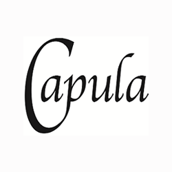 Capula Investment Management logo Capula Investment Management logo