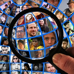 Using your degree: Human, Social, and Political Sciences Using your degree: Human, Social, and Political Sciences