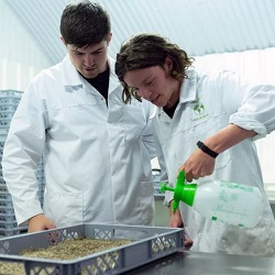 Using your degree: Natural Sciences