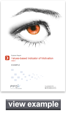 Values Based Indicator of Motivation sample report